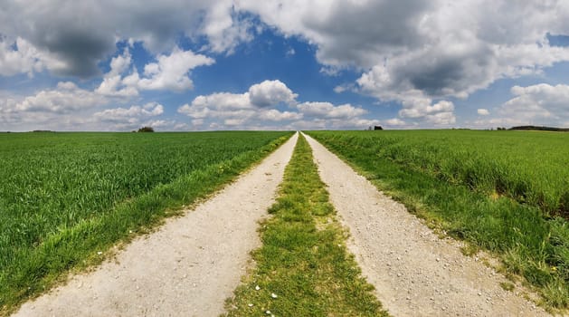 The Way