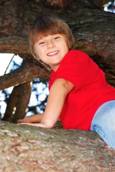 Boy climbing a tree
