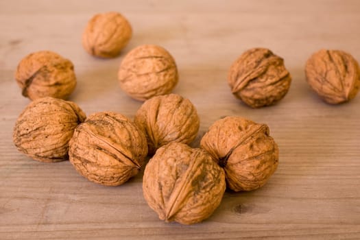 Walnuts - Juglans