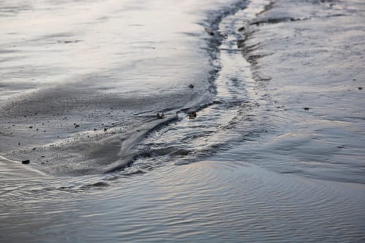 small tidal channel in the Wadden Sea - watercourse in the Wadden Sea which often meanders (loops)