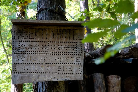 Insect hotel in the forest