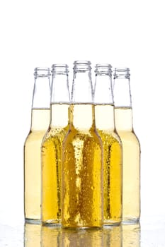 beer bottles on white