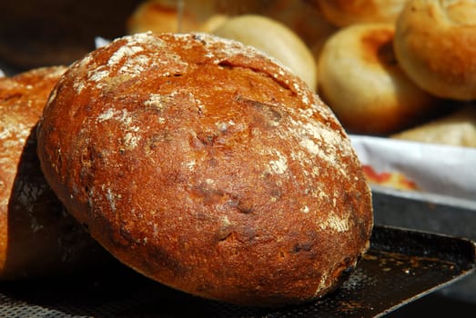 fresh bread