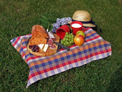 Picnic