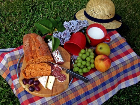 Picnic