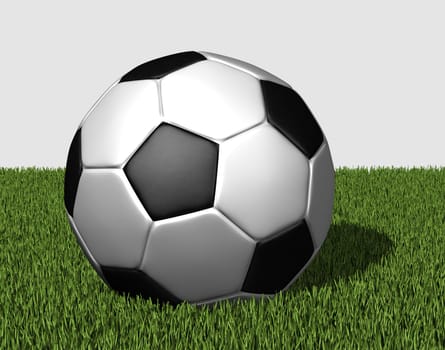 Soccer ball on grass