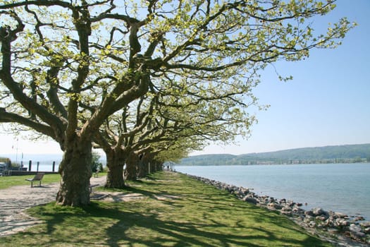 Waterfront