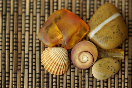 Baltic Sea Treasures