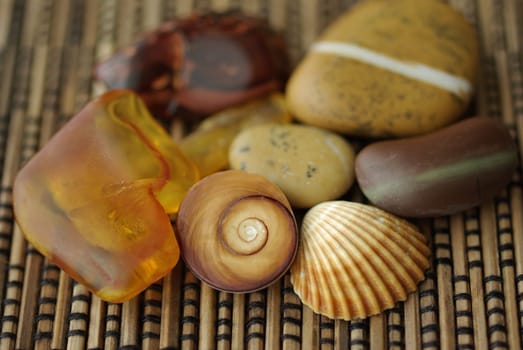 Fossil treasures
