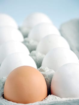 One brown egg in the midst of white eggs
