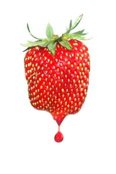 Isolated fruits - Strawberries with drop