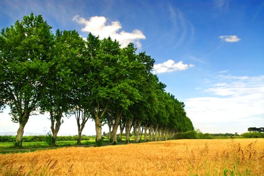 French country road