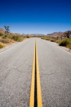 road in Joshua Tree National Park, USA