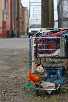 homeless shopping cart