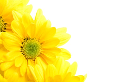 flowers corner