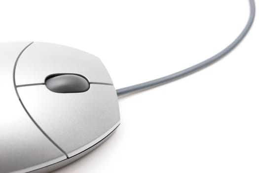 mouse on white