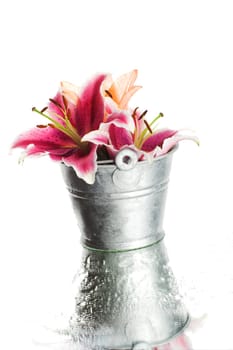 Flowers in a bucket