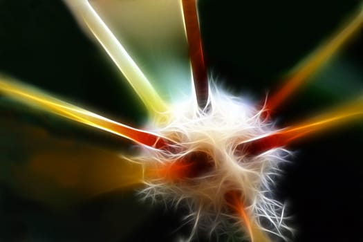 Cell