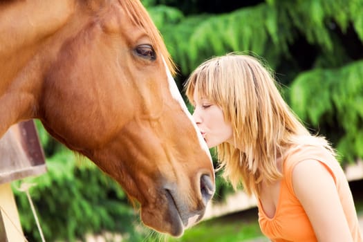 Horse