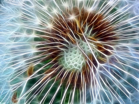 Dandelion