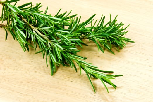 Rosemary