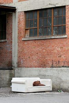 homeless couch (vertical)