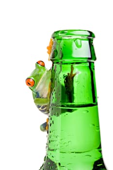 frog on a bottle isolated on white