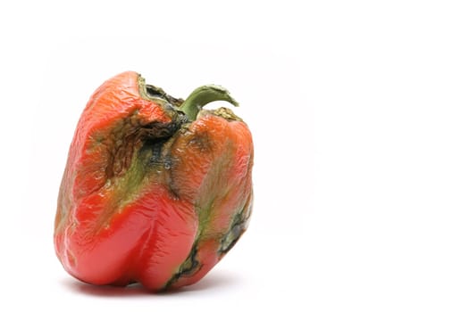 not-so-fresh bell pepper