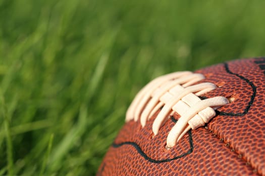 football in the grass