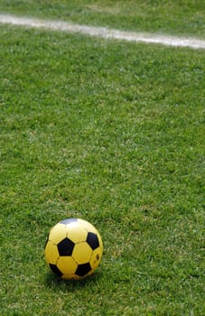 Yellow Plastic Ball