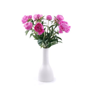 Peony
