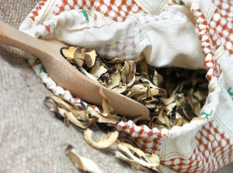 Dried mushroom boletus