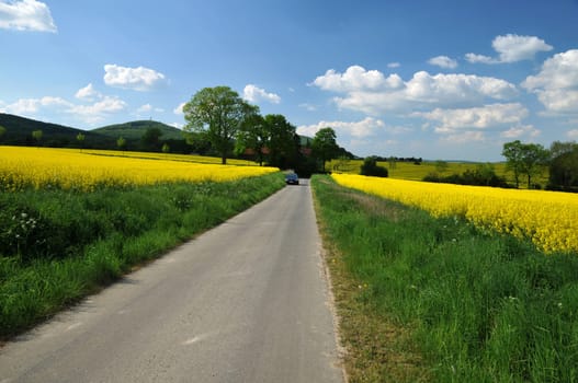 Landscape on the Dörnberg / Habichtswald.