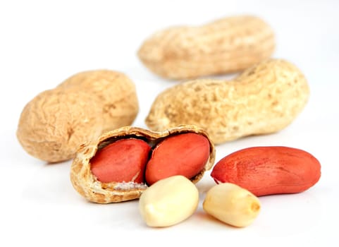 Peanuts with white background