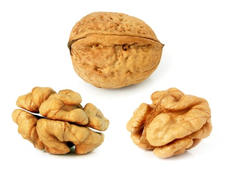 Walnuts in closeup with white background