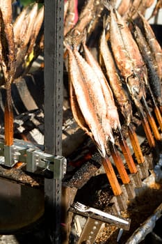 Fish on a stick