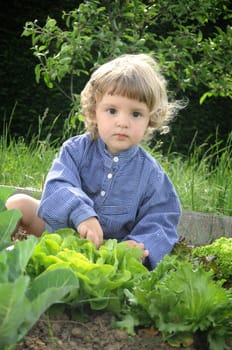 Children's Vegetable Garden