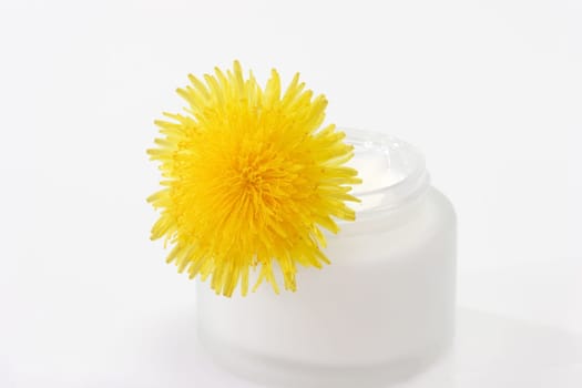 Skin cream