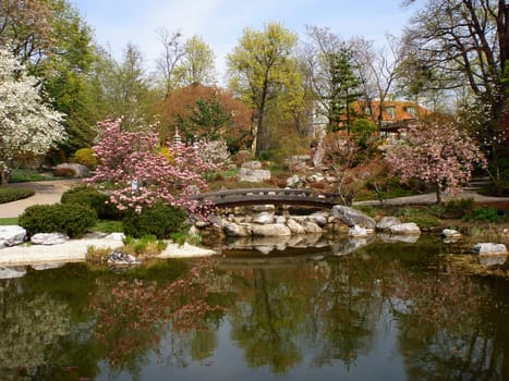 Japanese Garden
