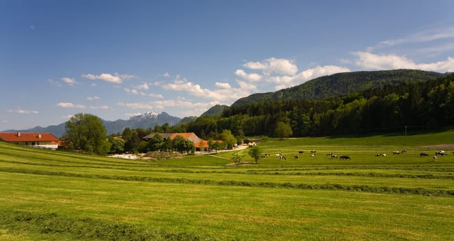 Countryside