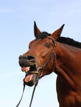 Yawning 2