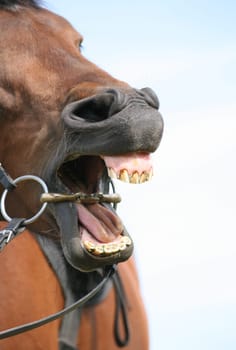 Yawning 3