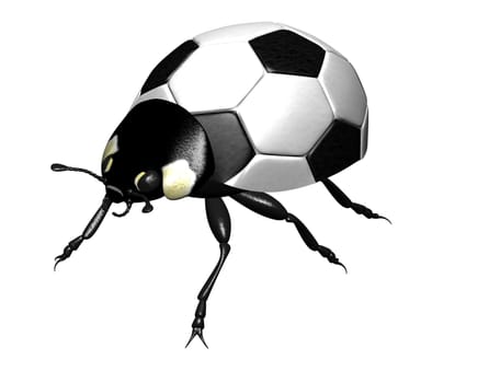 Ladybug as a soccer ball