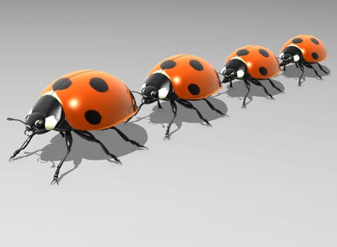 Ladybug family on the way