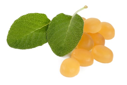 Candies with fresh sage on light background