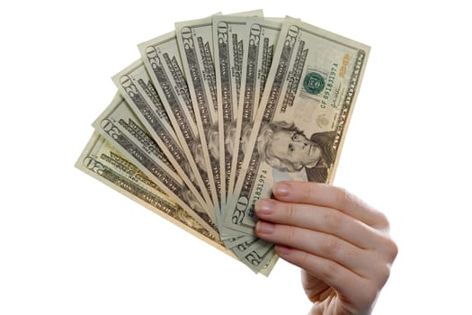 Money compartments made of dollars