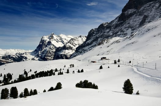 Grindelwald 3
