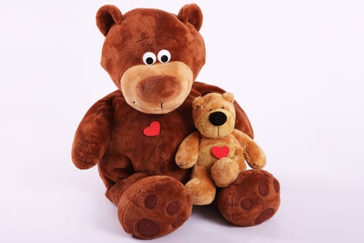2 brown bears cuddling