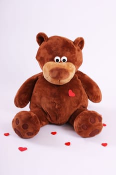 sitting cuddly brown bear portrait format