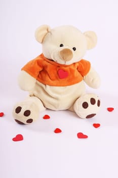 Valentine's Bear Portrait